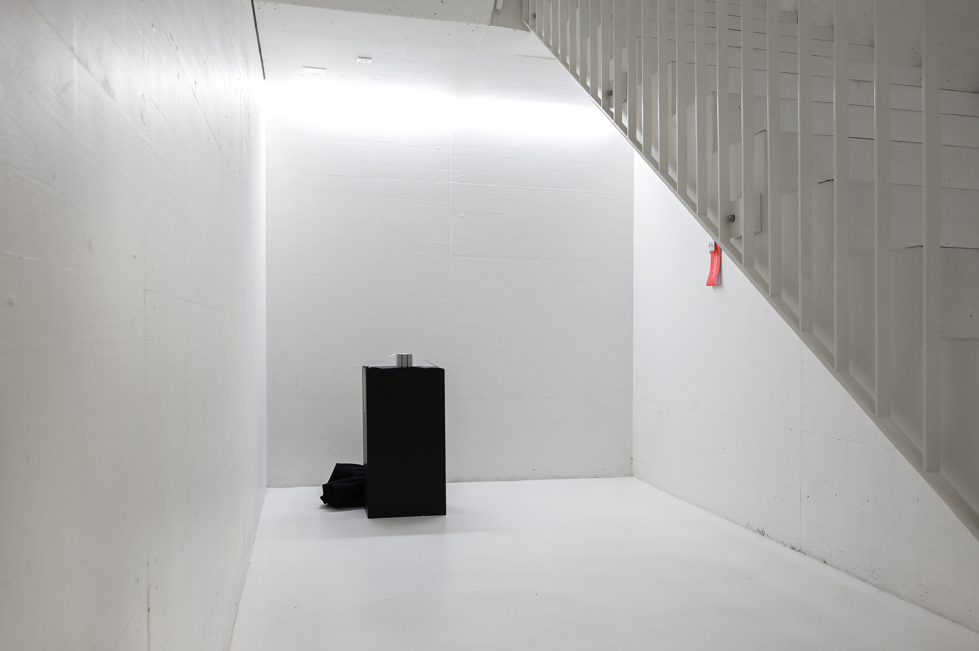 Vers Dor, I left before the screening/M.B., 2025